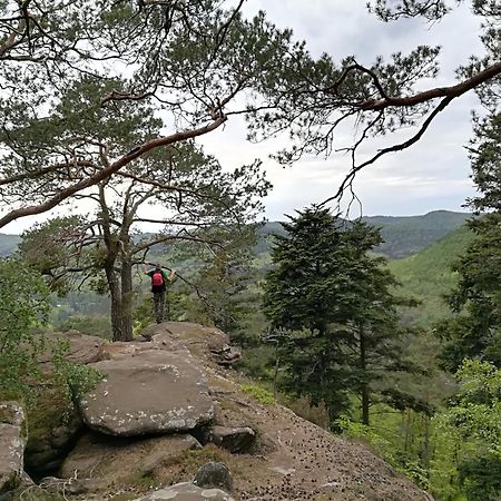 L'Ours Vert Baerenthal Ngoại thất bức ảnh