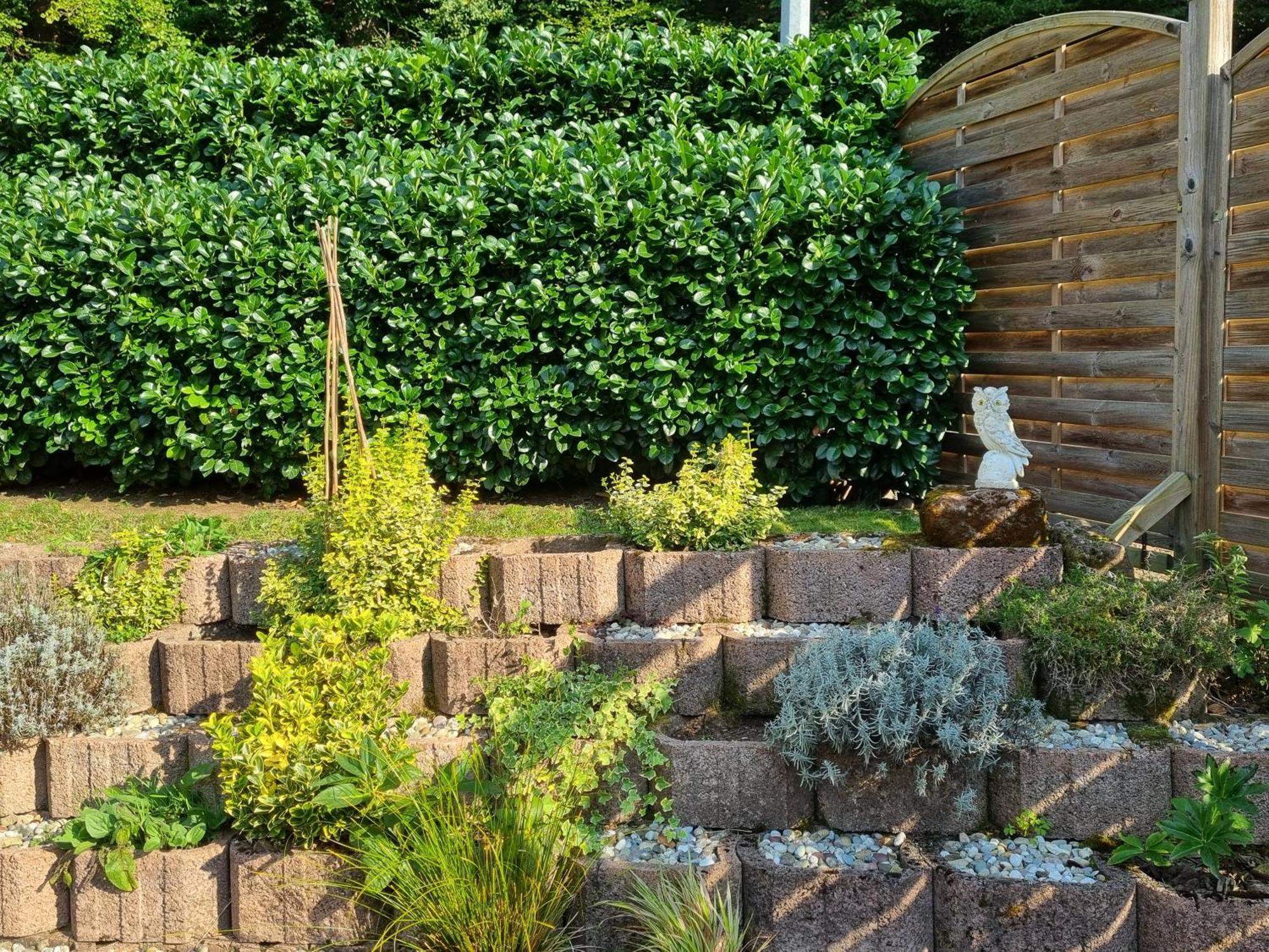 L'Ours Vert Baerenthal Ngoại thất bức ảnh